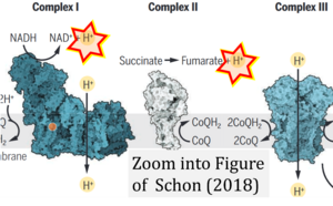 Schon 2018 Science CORRECTION.png