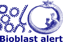 Steady state - Bioblast