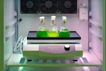 Shaker (laboratory) for algae